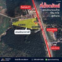 ขายด่วน สวนรัตนาท่าฉาง สุราษฎร์ธานี 10 ไร่ 1 งาน 76.0 ตารางวา ไร่ละ