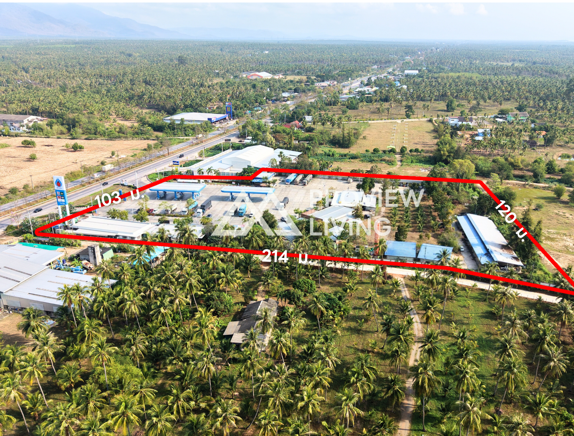 26-000054 ธุรกิจปั๊มน้ำมัน ปตท.  15  ไร่ สาขาทุ่งประดู่  @ทับสะแก ปั๊มไซส์ XL  “40 หัวจ่าย”   หน้ากว้าง  103  ม.  ลึก  214  ม. 