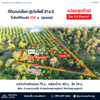 ที่ดินแบ่งล็อก @วัดโพธิ์ 31 ซ.5 ใกล้เจทีทีขนส่ง  200  ม.   (สุดซอย)