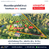 ที่ดินแบ่งล็อก @วัดโพธิ์ 31 ซ.5 ใกล้เจทีทีขนส่ง  200  ม.   (สุดซอย)
