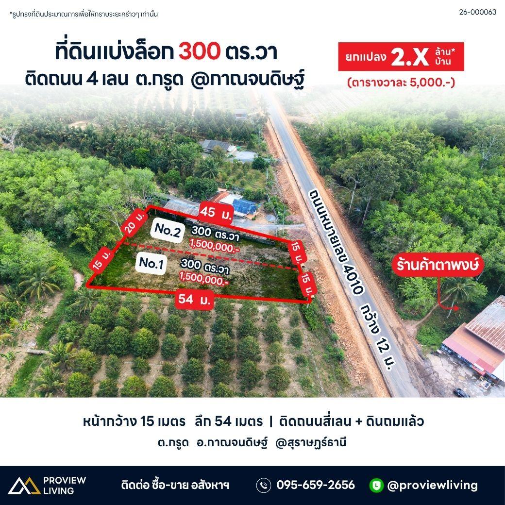 ขายที่ดินเปล่า สุราษฎร์ธานี กาญจนดิษฐ์ 2 ไร่ 1 งาน