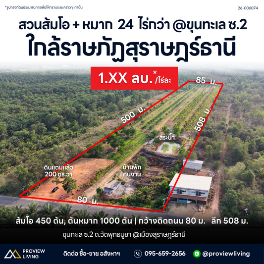 26-000074 สวนส้มโอ + หมาก  24  ไร่กว่า @ขุนทะเล ซ.2