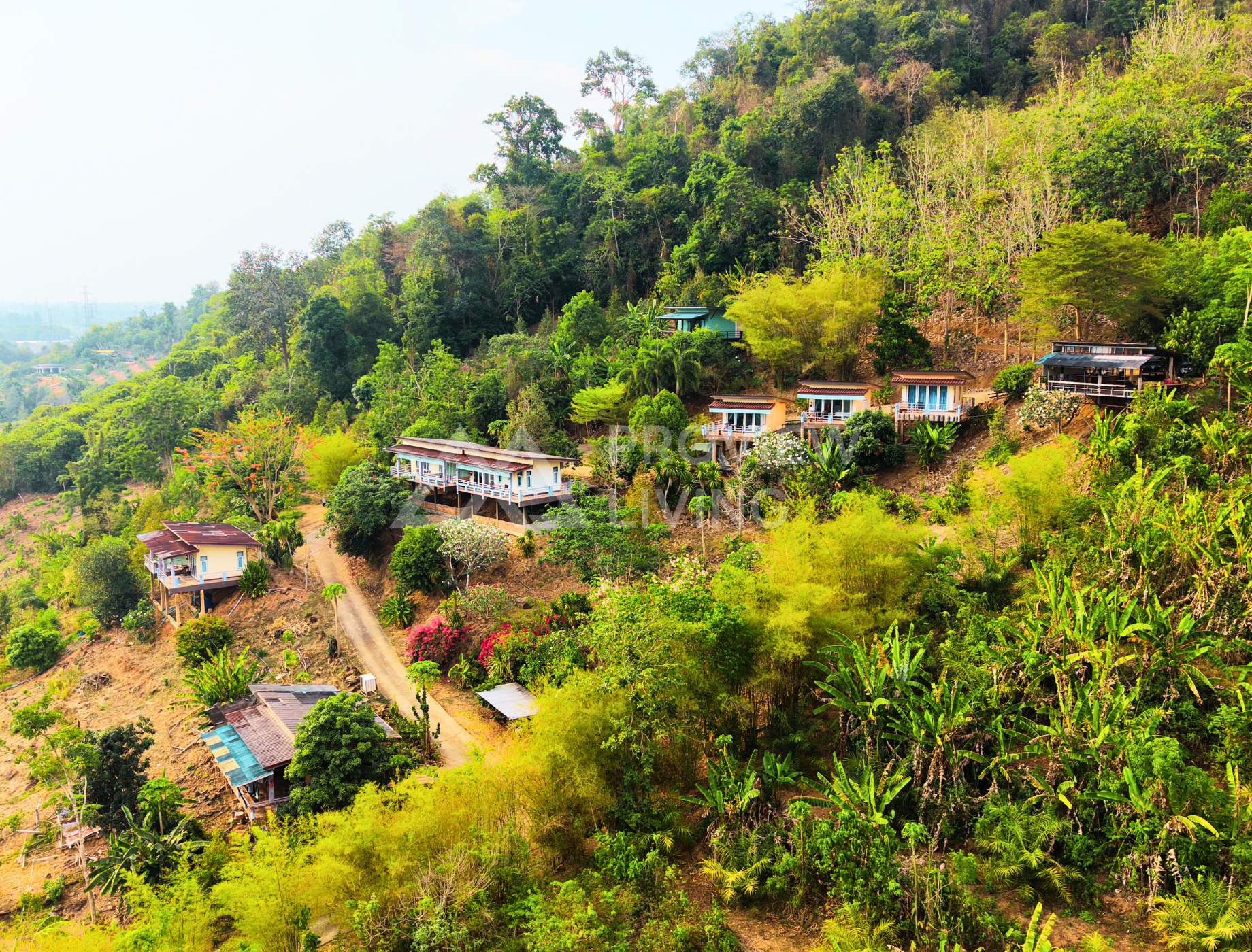 ขายบ้าน สุราษฎร์ธานี เขาน้อย รีสอร์ท เขาหัวควาย พุนพิน 9 หลัง ใกล้ร้านภูณิศา