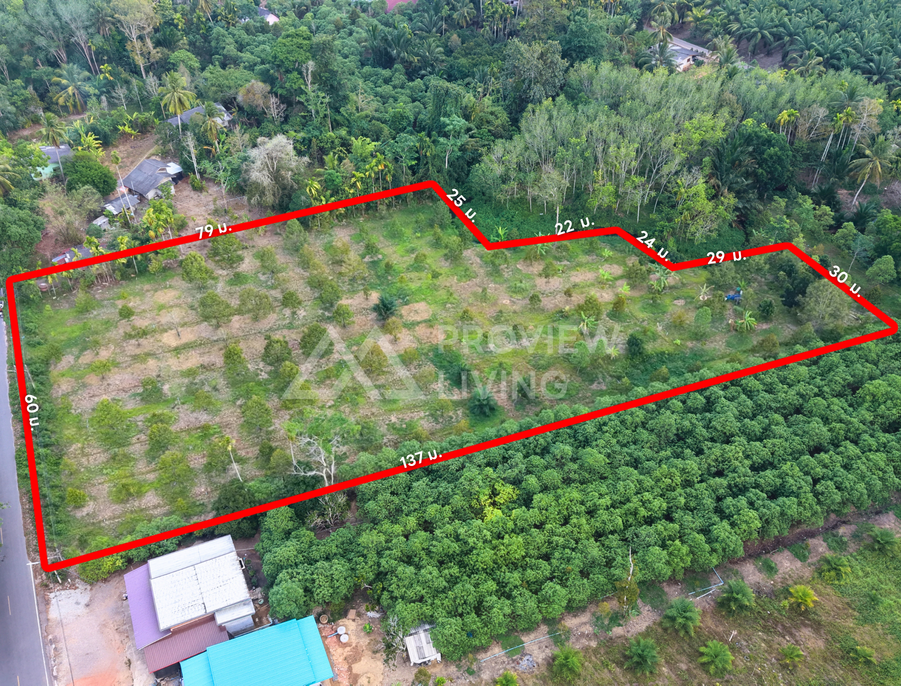 ขายสวนทุเรียน กาญจนดิษฐ์ สุราษฎร์ธานี | 4 ไร่ 2 งาน 77.4 ตร.วา ใกล้โรงเรียนบ้านห้วยด่าน