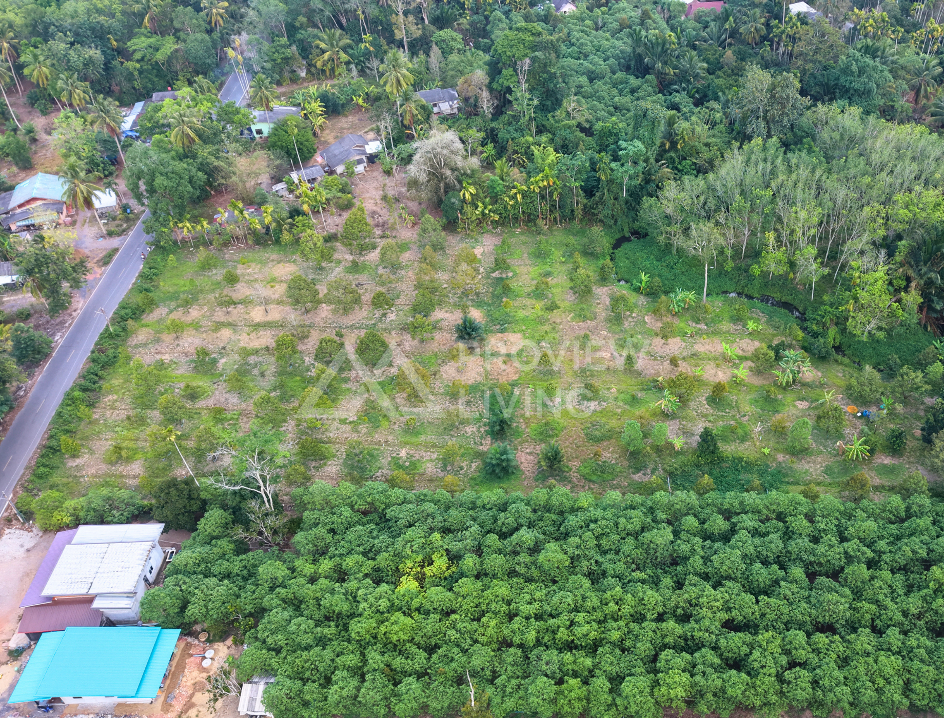ขายสวนทุเรียน กาญจนดิษฐ์ สุราษฎร์ธานี | 4 ไร่ 2 งาน 77.4 ตร.วา ใกล้โรงเรียนบ้านห้วยด่าน