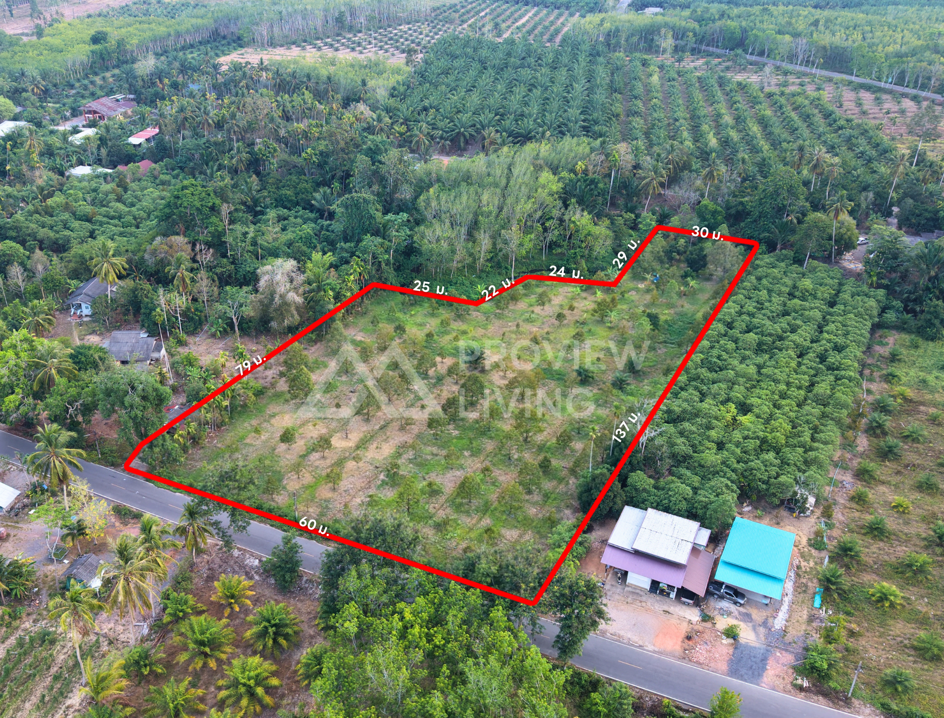 ขายสวนทุเรียน กาญจนดิษฐ์ สุราษฎร์ธานี | 4 ไร่ 2 งาน 77.4 ตร.วา ใกล้โรงเรียนบ้านห้วยด่าน