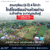 ขายสวนทุเรียน กาญจนดิษฐ์ สุราษฎร์ธานี | 4 ไร่ 2 งาน 77.4 ตร.วา ใกล้โรงเรียนบ้านห้วยด่าน