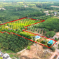 ขายที่ดิน ท่าฉาง สุราษฎร์ฯ | ใกล้ปั๊มบางจากท่าฉาง