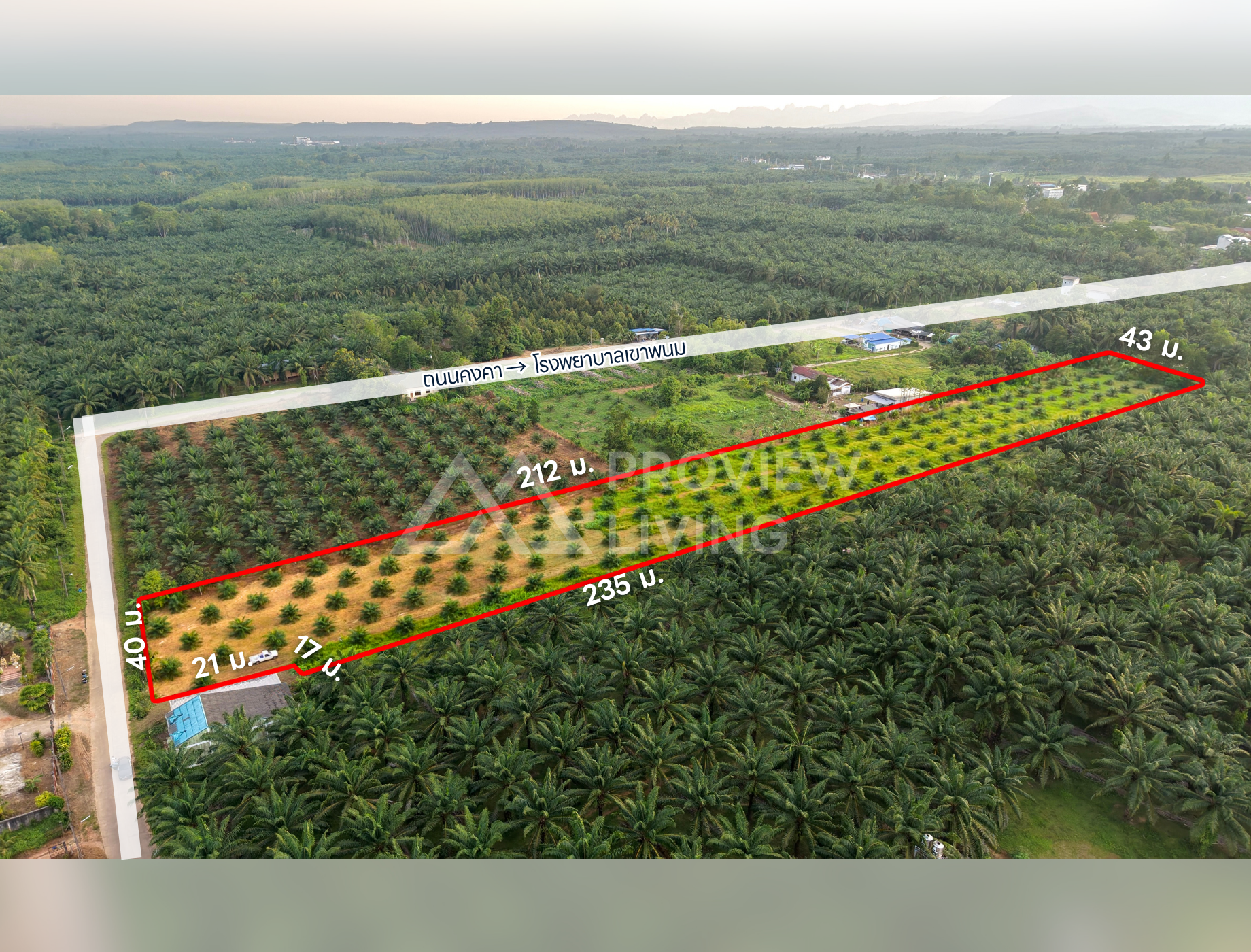 ขายที่ดินสวนปาล์ม 10 ไร่ (ผังสีชมพู) หลัง รพ. เขาพนม  - กระบี่ ไร่ละ 1.5 ล้าน ยกแปลง 15 ล้านบาท