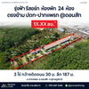 26-000099 รุ่งฟ้า รีสอร์ท  ห้องพัก  24  ห้อง ตรงข้าม ปตท-ปากแพรก @ดอนสัก