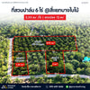 ขายที่สวนปาล์ม 6 ไร่ @สี่แยกบางใบไม้ ราคา 2.XX ลบ * / ไร่