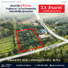 ขายสวนปาล์ม 2 ไร่ 2 งาน บ้านค้อบน ซ.1 ถ.บ้านปากคลองน้อย ใกล้อาเตี่ยซีฟู้ด @คลองน้อย