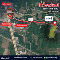 Oil palm plantation for sale, 6 rai @ Bang Baimai Intersection, price 2.XX MB / rai