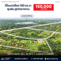 Oil palm plantation for sale, 6 rai @ Bang Baimai Intersection, price 2.XX MB / rai