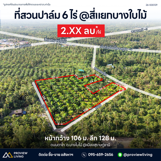 ขายที่สวนปาล์ม 6 ไร่ @สี่แยกบางใบไม้ ราคา 2.XX ลบ * / ไร่