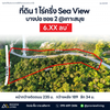ขายที่ดิน 1 ไร่ครึ่ง Sea View บางปอ @เกาะสมุย 6.XX ลบ.