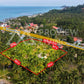 ขายที่ดินเปล่า ตลิ่งงาม เกาะสมุย 3 ไร่ 3 งาน 21 ตร.วา ราคา 7.5 ล้านบาท/ไร่