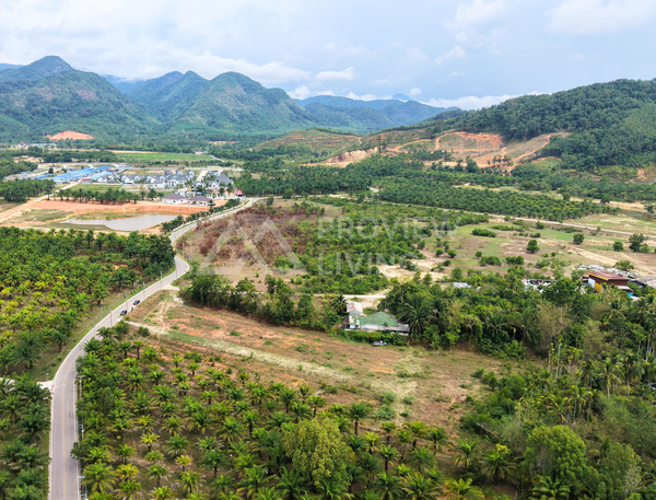 ขายที่ดินแบ่งล็อค @ระนอง ใกล้ The Baroni Ranong 400 ม. โซน 14 โค้ง ใกล้สนามบิน 9 กม.