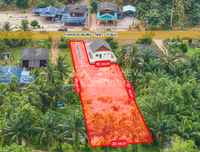 ขายที่ดิน / บ้าน / บ้านพร้อมที่ดิน 1 ไร่ 27.5 ตร.วา  ท่าฉาง  สุราษฏร์ธานี | ราคา 3.XX ล้านบาท