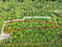ขายที่ดินริมน้ำ 1 ไร่ 356 ตร.วา ซอยตาไท ( สี่แยกบางใบไม้ ) @เมืองสุราษฎร์ ราคา 1.9X ล้านบาท