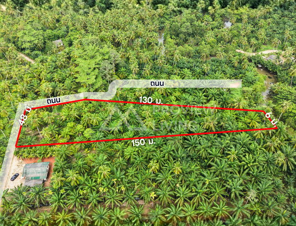 ขายที่ดินริมน้ำ 1 ไร่ 356 ตร.วา ซอยตาไท ( สี่แยกบางใบไม้ ) @เมืองสุราษฎร์ ราคา 1.9X ล้านบาท