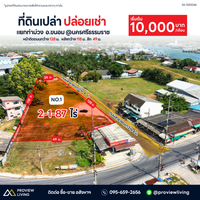 [ปล่อยเช่า] ที่ดินเปล่า 2 ไร่เศษ แยกท่าม่วง อ. ขนอม 100,000 / เดือน