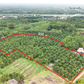 Oil palm plantation for sale, 6 rai @ Bang Baimai Intersection, price 2.XX MB / rai