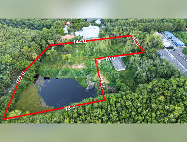 ขายที่ดินเปล่า 9 ไร่เศษ @ขุนทะเล ติดธุดงคสถานสุราษฎร์ธานี 1.6X ล้านบาท / ไร่