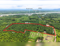 Oil palm plantation for sale, 6 rai @ Bang Baimai Intersection, price 2.XX MB / rai