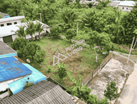 Urgent Sale: House with land near Khao Nipon Police Station, Wiang Sa District, Surat Thani Province. Total area 162.4 sq. wah. 2 bedrooms, 1 bathroom, 1 kitchen, 1 living room, and a backyard area suitable for a vegetable garden or other construction.