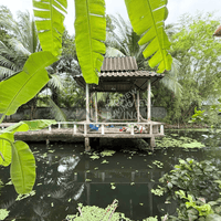 For quick sale: Garden house in Surat Thani, fully furnished, with various trees. 5 bedrooms, 2 bathrooms, with a waterfront pavilion. Large plot of land 381 sq. wah, 25 m wide, 61 m deep.