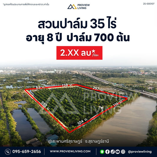 [ขายด่วน] ที่ดินสวนปาล์ม 8 ปี 700 ต้น ใกล้สะพานศรีสุราษฏร์ 35 ไร่