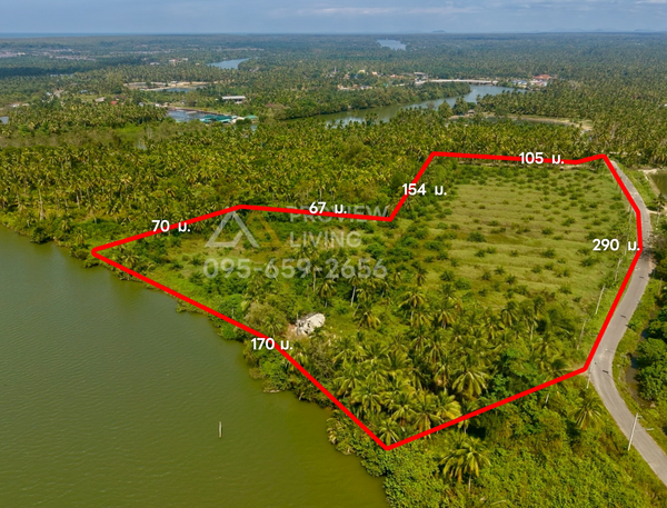 URGENT SALE: Riverside land, 21 rai 3 ngan 80.0 square wah, Bang Pho, Surat Thani