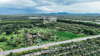 25 rai of undeveloped land, 2 plots, 12 meters frontage on the main road, Phumriang, Chaiya, Surat Thani
