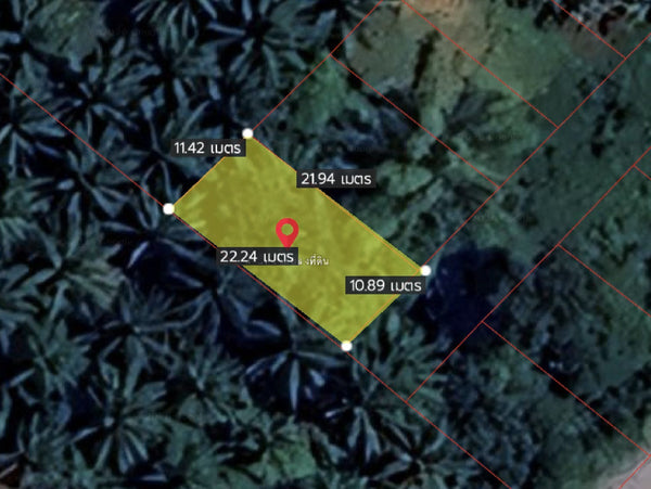Urgent sale: divided land plots in Surat Thani, starting size 57.7 sq. wa. Location: Wat Pho 31 Soi 11. Price only 7.X hundred thousand baht per plot.