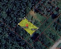 Urgent sale: divided land plots in Surat Thani, starting size 57.7 sq. wa. Location: Wat Pho 31 Soi 11. Price only 7.X hundred thousand baht per plot.