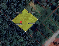 Urgent sale: divided land plots in Surat Thani, starting size 57.7 sq. wa. Location: Wat Pho 31 Soi 11. Price only 7.X hundred thousand baht per plot.