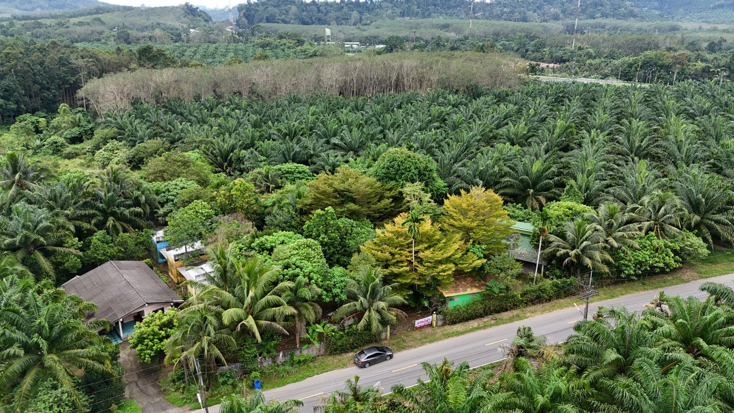 [ขายด่วน] ที่ดินพร้อมรีสอร์ท พังงา 1 ไร่ 3 งาน 90.3  ตารางวา