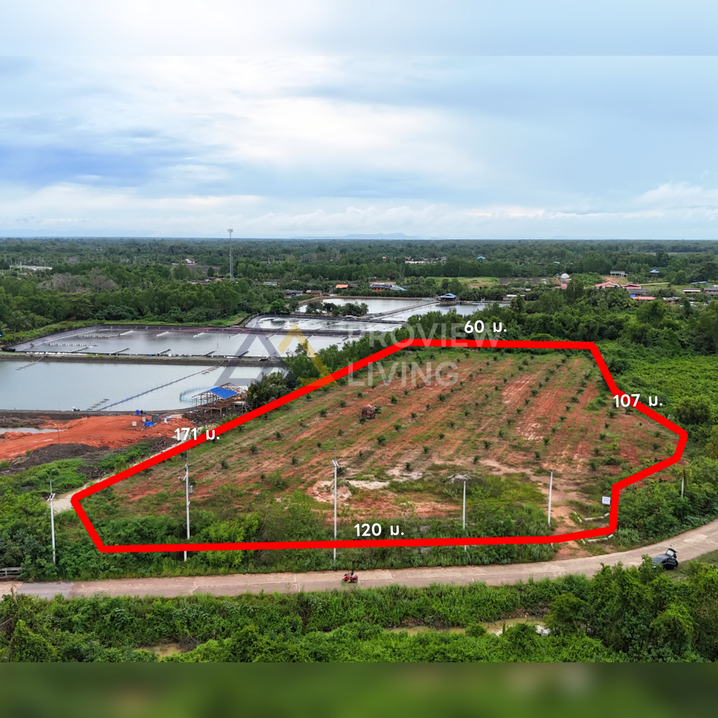 [ขายด่วน] ที่ดินเปล่าแปลงใหญ่ วิวโปร่ง ใกล้สะพานศรีสุราษฎร์ฯ ขนาด 6 ไร่ 3 งาน 25.9 ตร.ม. หน้ากว้าง 120 เมตร