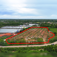 ขายด่วน ที่ดินเปล่าแปลงใหญ่ วิวโปร่ง ใกล้สะพานศรีสุราษฎร์ฯ ขนาด 6 ไร่ 3 งาน 25.9 ตร.ม. หน้ากว้าง 120 เมตร