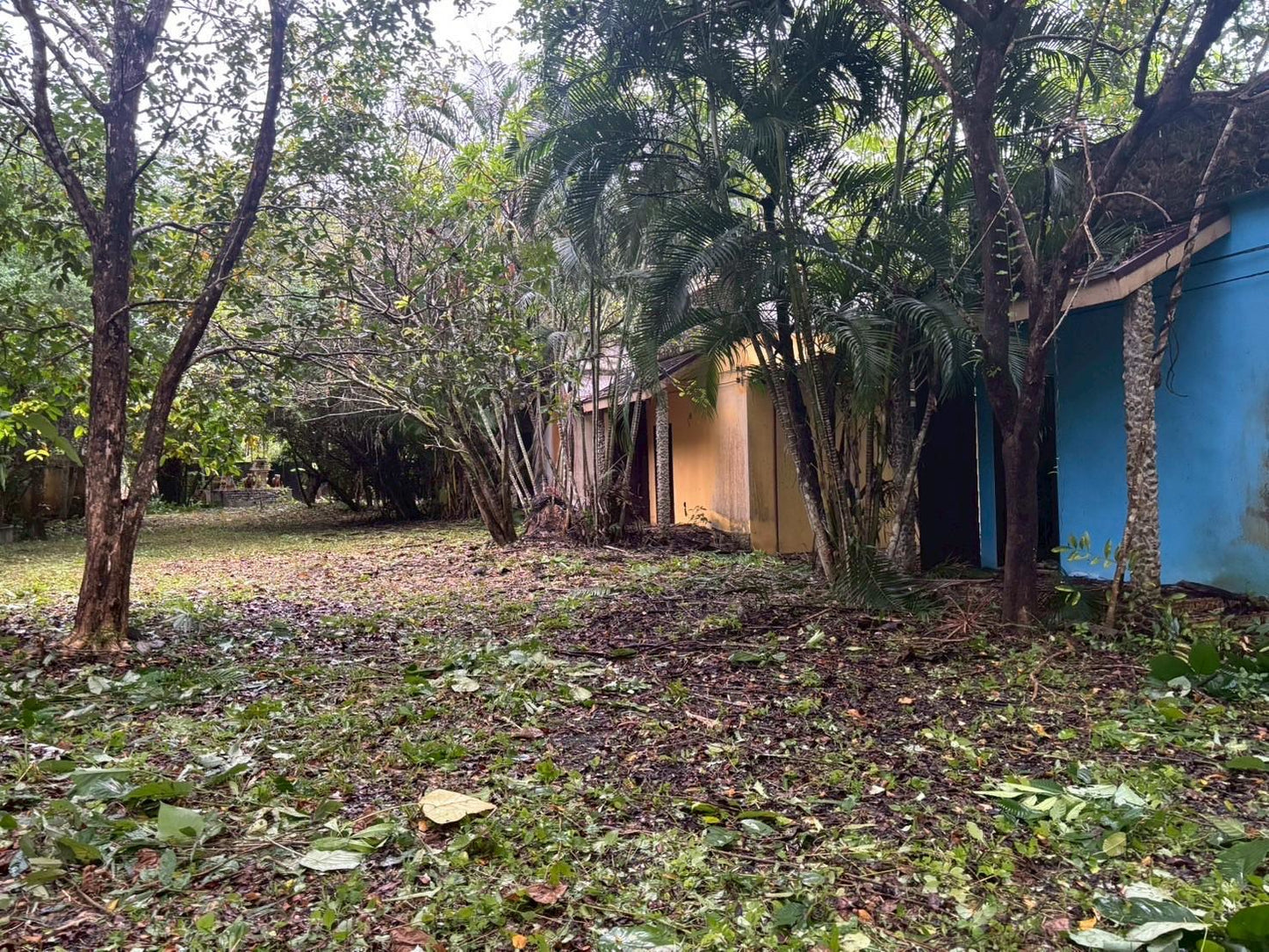 [ขายด่วน] ที่ดินพร้อมรีสอร์ท พังงา 1 ไร่ 3 งาน 90.3  ตารางวา