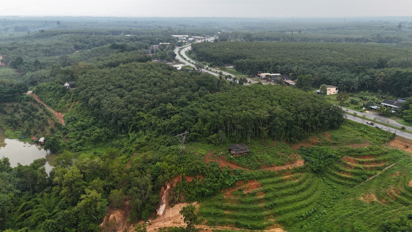 [ขายด่วน] ที่ดินกม 25 3 ไร่ 3 งาน 95.5 ตารางวา