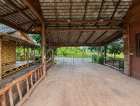 Oil palm plantation for sale, 6 rai @ Bang Baimai Intersection, price 2.XX MB / rai
