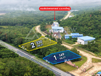 Oil palm plantation for sale, 6 rai @ Bang Baimai Intersection, price 2.XX MB / rai