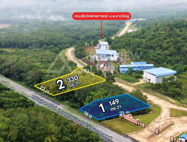 Oil palm plantation for sale, 6 rai @ Bang Baimai Intersection, price 2.XX MB / rai