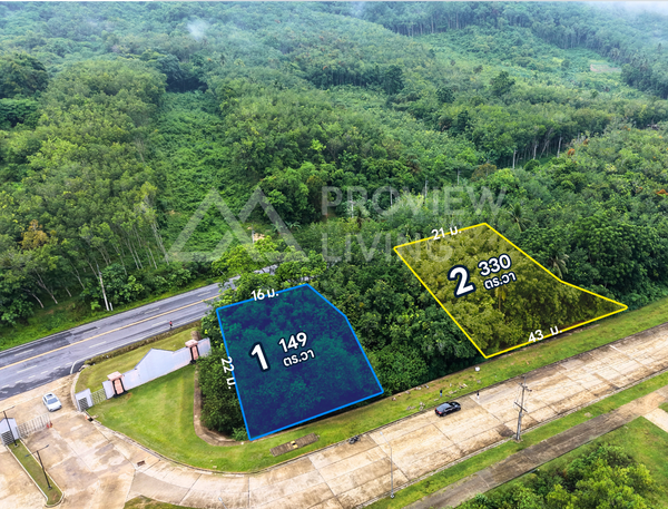 Oil palm plantation for sale, 6 rai @ Bang Baimai Intersection, price 2.XX MB / rai