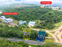 Oil palm plantation for sale, 6 rai @ Bang Baimai Intersection, price 2.XX MB / rai