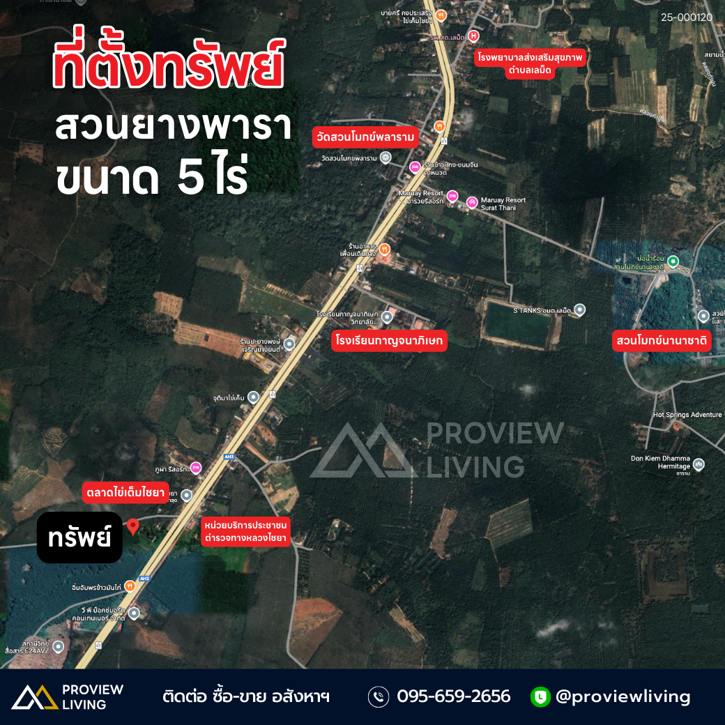 [ขายด่วน] ที่ดิน พร้อมสวนยางพารา ตรงข้ามสถานนีตำรวจทางหลวงไชยา 450 ม. ขายไร่ละ 6 แสนบาทเท่านั้น!!