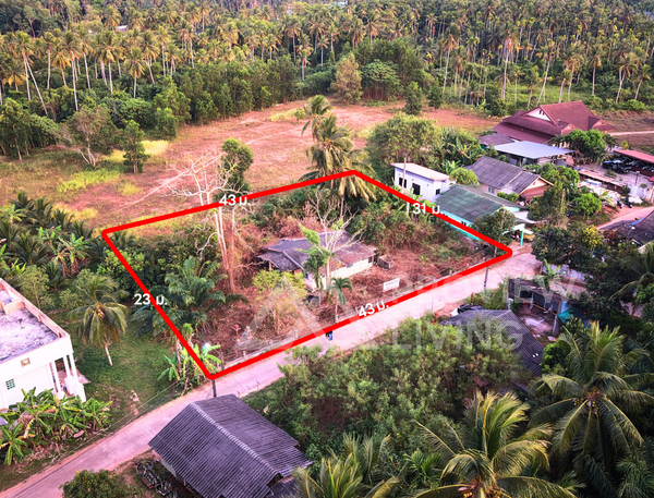 [FOR SALE] BS-02 Land + Single-story house, 274.6 rai, Soi Charoen Uthit (near Tsubame), near Suratthani Hospital, Central Plaza, community area