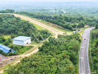Oil palm plantation for sale, 6 rai @ Bang Baimai Intersection, price 2.XX MB / rai